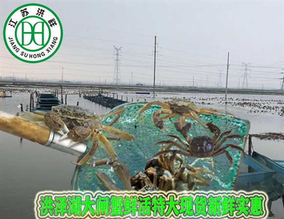 鋸切設(shè)施